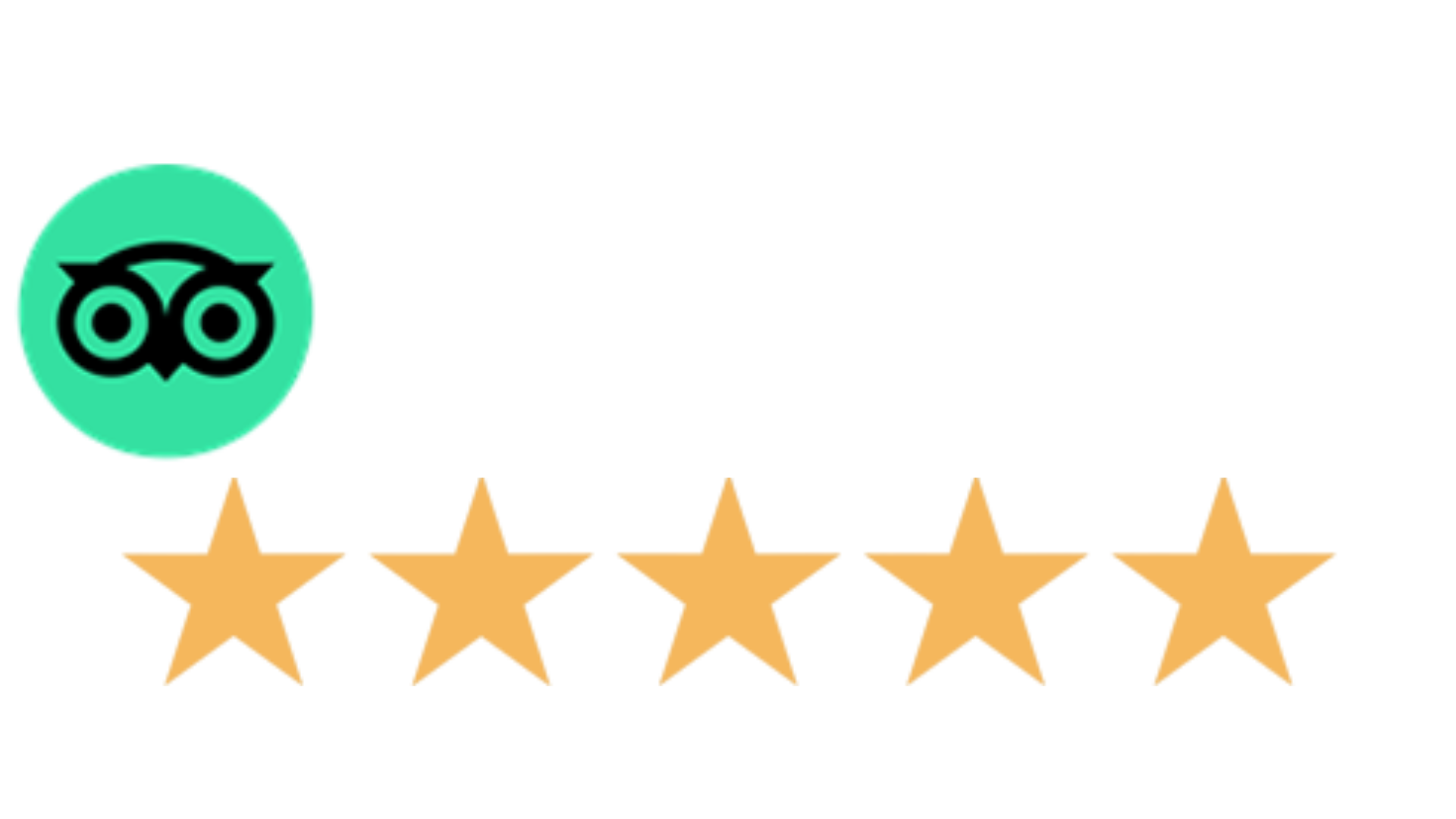 TripAdvisor review stamp